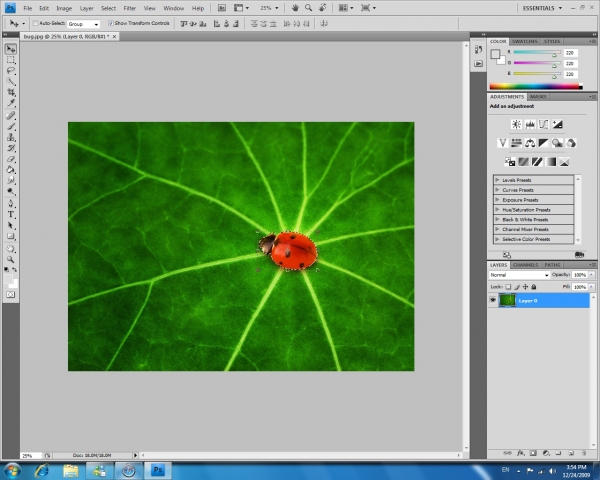 Creation of Robobug: Step 1